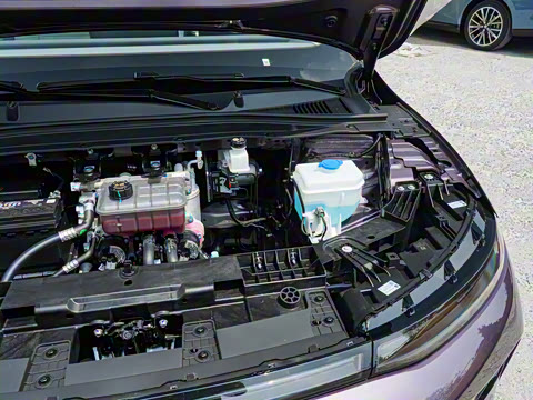 2025�� 550������