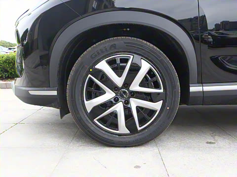 2025�� 150 �캽+��