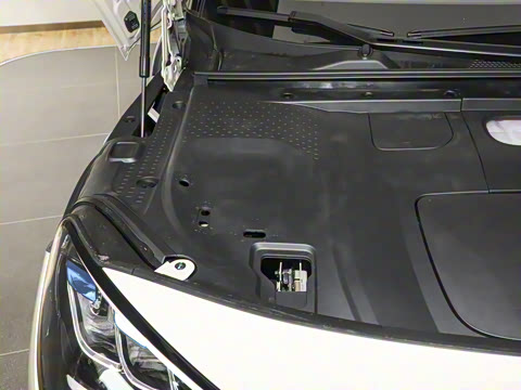 2026�� �鶯������