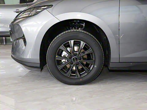 2025�� 520�ǻݰ�