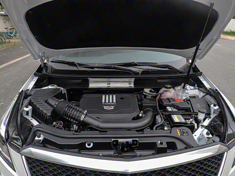 2021�� 28T ���������˶���