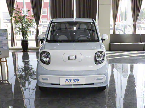 2025�� 222km ������