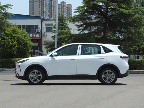 2025�� 445km ��ѡ��