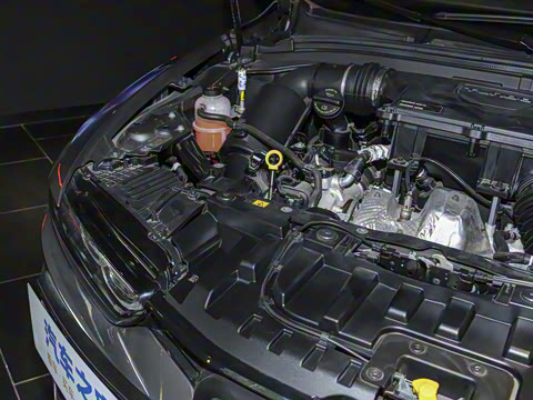 2024�� 2.0T 268HP AWD Veloce������