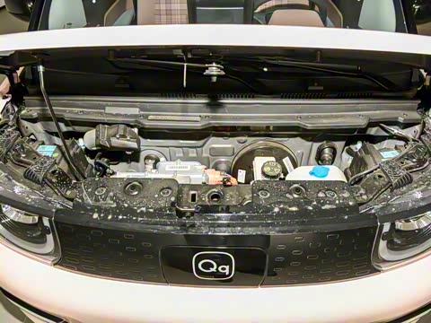 2025�� 205km ʥ����