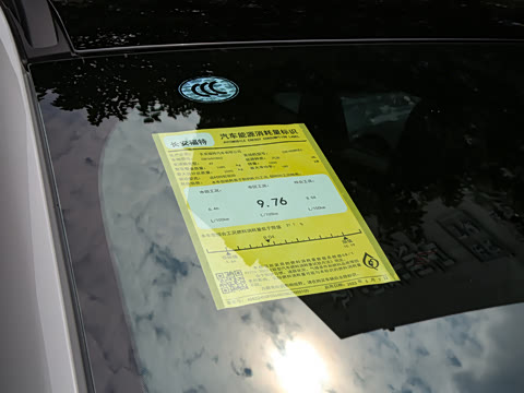 2024�� EcoBoost 245 ����������ST-Line Pro