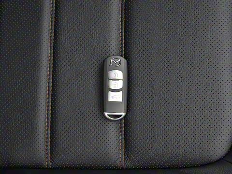 2019�� �ƿذ� 2.0L �Զ����������� ��VI