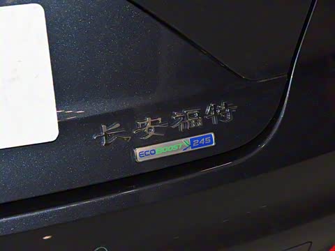 2019�� EcoBoost 245 ������