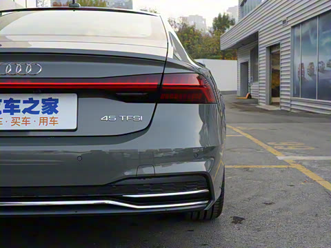 2022�� 45 TFSI ��ѡ��