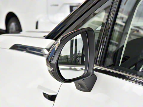 2024�� �Ŀ� ���� ��������ɭ�ְ� ����