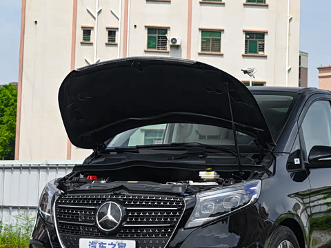 2025�� V 300 �캽��