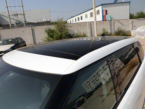 2022�� ����L P300e ���ʽ�綯��ϰ�