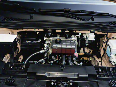 2025�� 550������