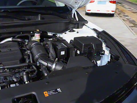 2025�� 2.0T ����������