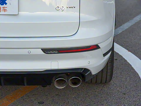 2021�� 2.0T PHEV Halo ����