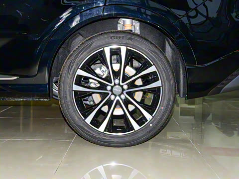 2023�� 1.6T DCTǿ��PRO+ 5��