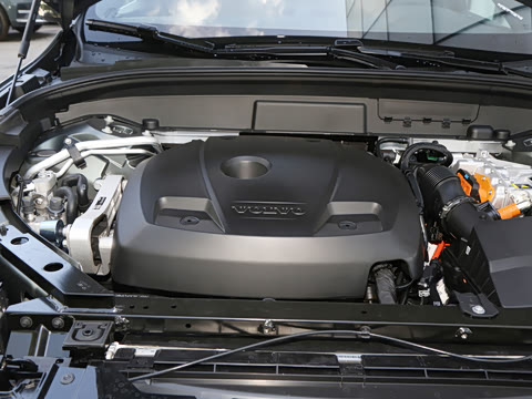 2026�� ���ʽ�춯 ������������Զ������