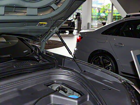 2026�� ����������