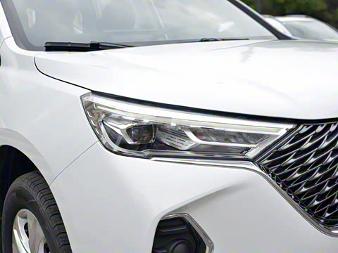 2023�� PLUS 1.5T DCT��Ӣ������