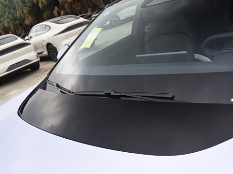 2025�� Max�����