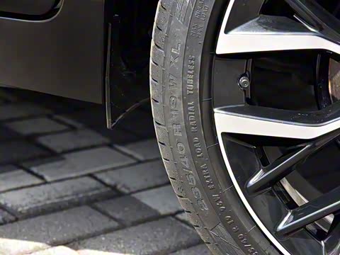 2019�� ������