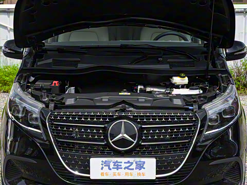 2025�� V 300 �캽��