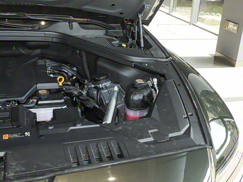 2024�� 2.5T ���������� 7��