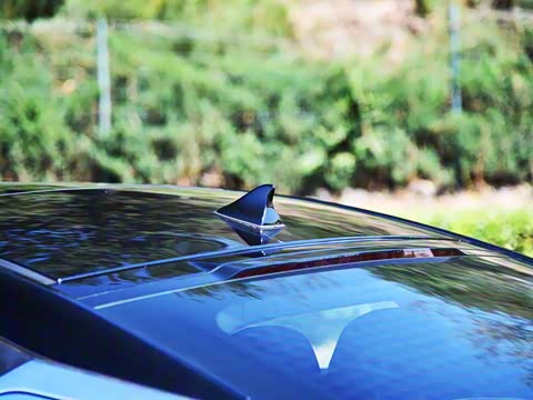 2020�� ��������