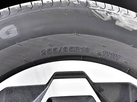 2025�� ���Ǵ�Խ�� ������Ұ��