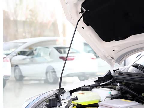 2019�� 500 ������