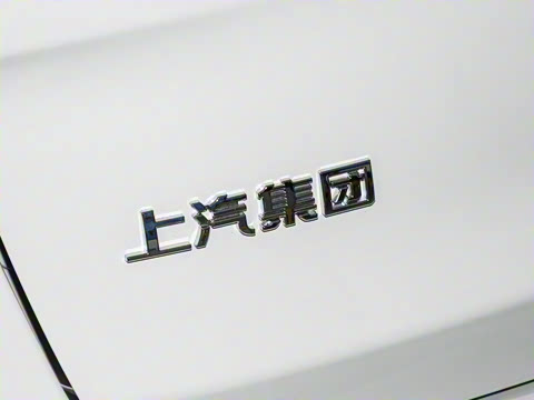 2025�� MAX 2.0T �Զ������� ���� 7��