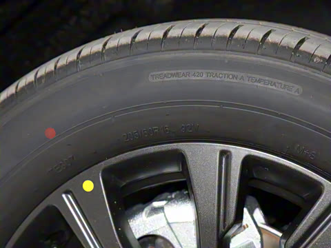 2025�� 520�ǻݰ�