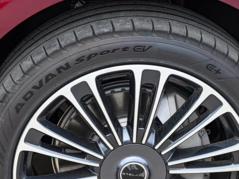 2025�� ���� Max