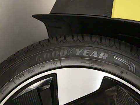 2025�� ������������ Plus