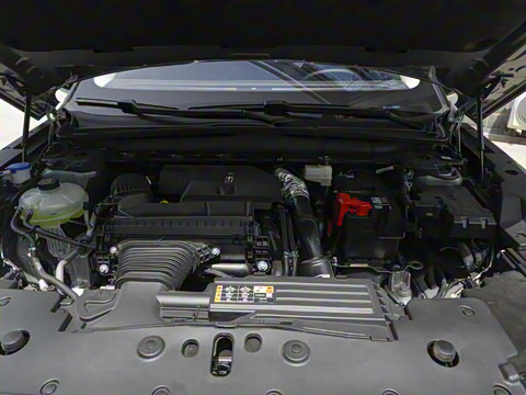 2023�� 2.0T �������