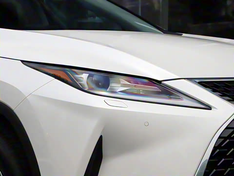 2020�� �Ŀ� 300 ������Ӣ��