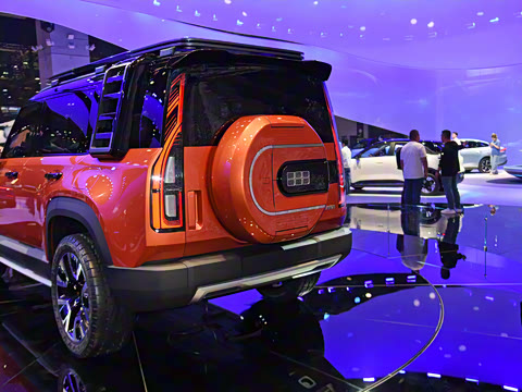 2025�� ������