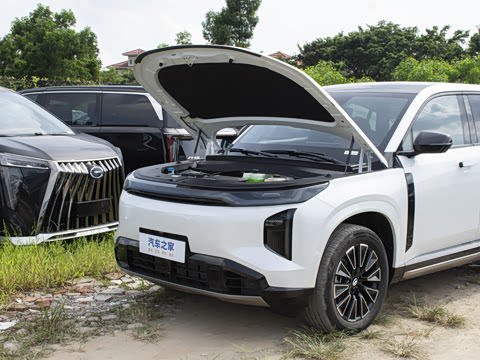 2025�� 115km Pro��