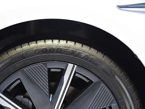 2021�� ����