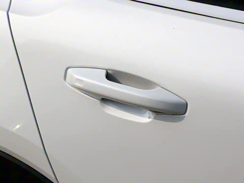 2022�� ��������