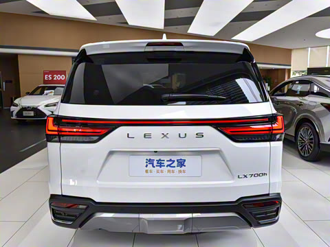 2025�� 700h VIP������