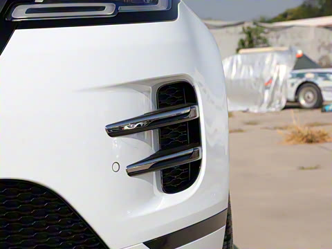 2022�� ����L P300e ���ʽ�綯��ϰ�