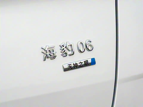 2025�� DM-i 80KM�����