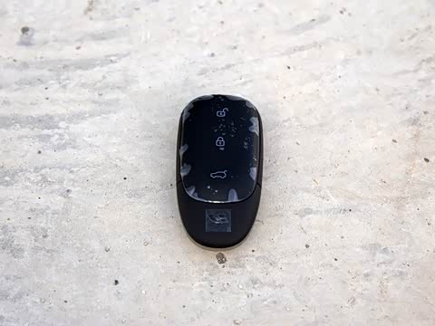 2019�� ����6����