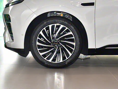 2025�� ���� 240 Max��������������ʻ