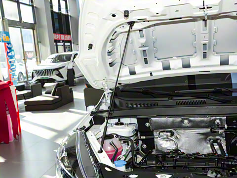 2025�� 1.5L �ֶ����ʰ�