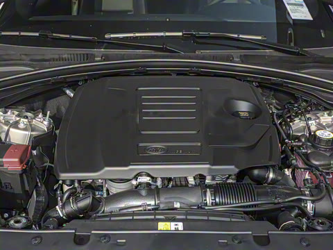 2026�� 250PS Dynamic SE