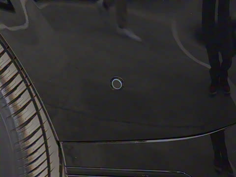 2025�� 725 �������� Max