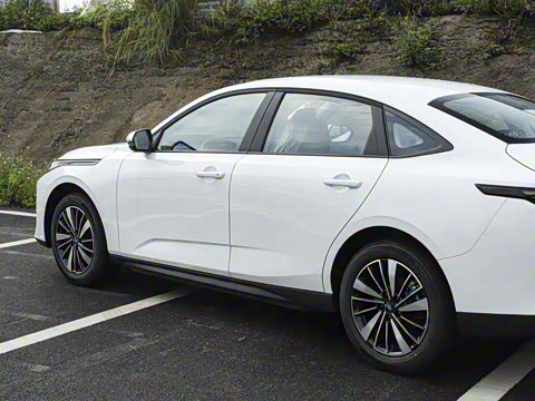 2025�� ��׼��