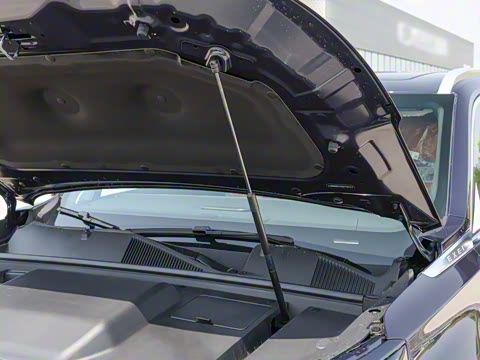 2025�� 180 ��������Max���� 6��